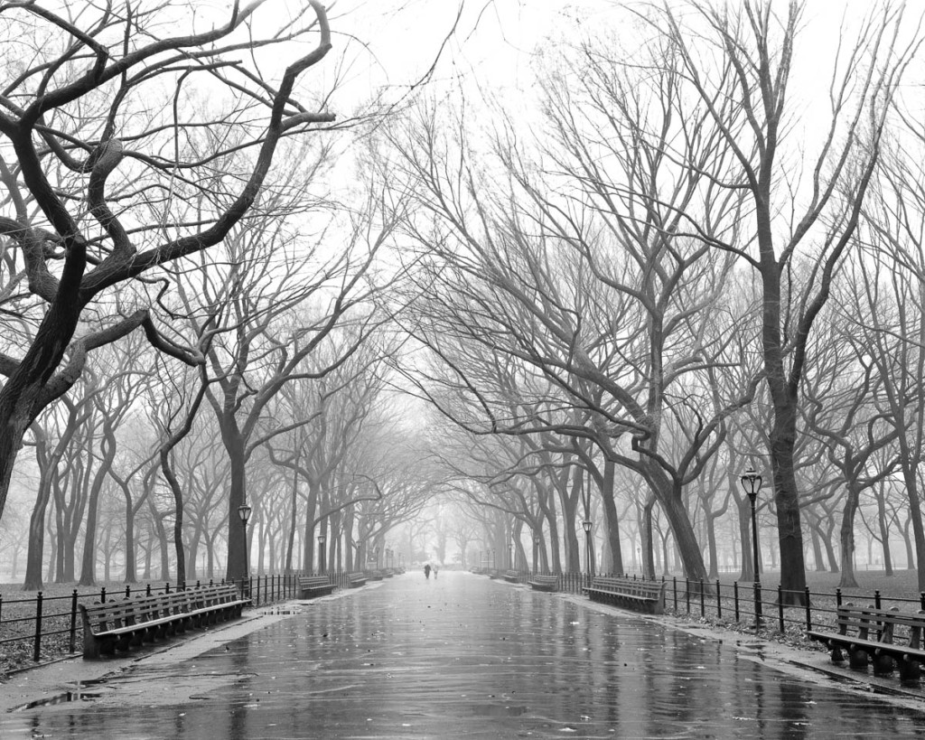 poets-walk-central-park